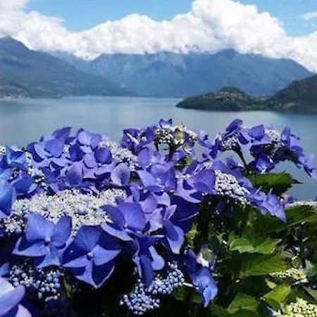 Agriturismo Piccolo Paradiso Pianello Del Lario Ngoại thất bức ảnh
