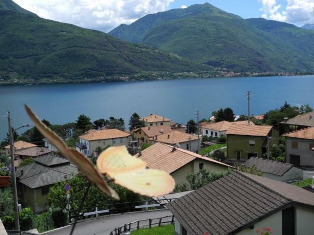 Agriturismo Piccolo Paradiso Pianello Del Lario Ngoại thất bức ảnh