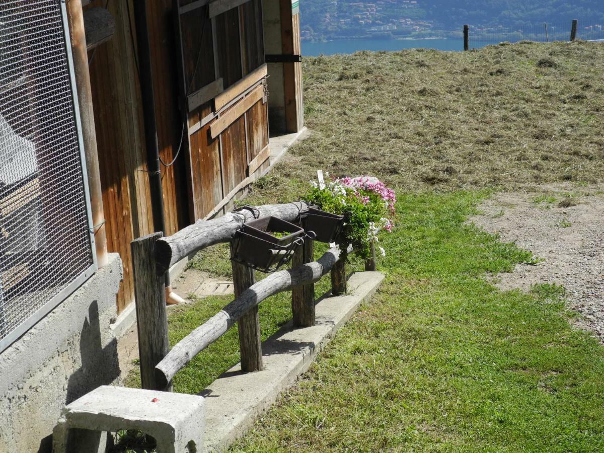 Agriturismo Piccolo Paradiso Pianello Del Lario Ngoại thất bức ảnh
