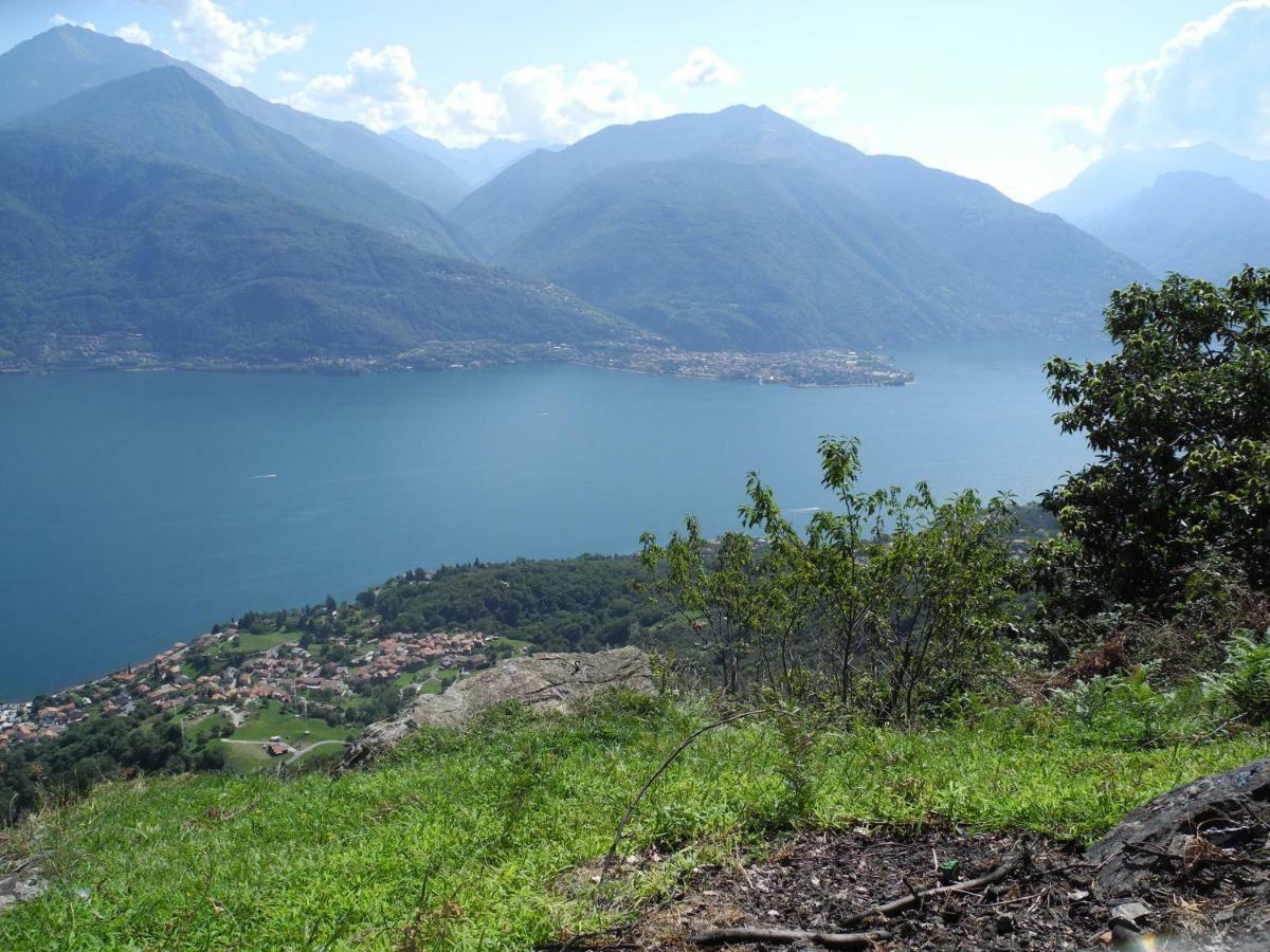 Agriturismo Piccolo Paradiso Pianello Del Lario Ngoại thất bức ảnh