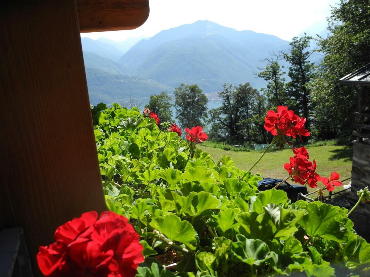 Agriturismo Piccolo Paradiso Pianello Del Lario Ngoại thất bức ảnh